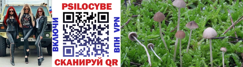 как найти   Углегорск  Галлюциногенные грибы Cubensis 